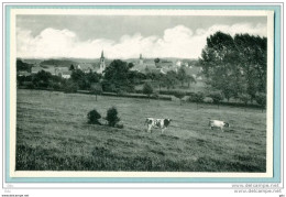 Falaën - Panorama - Neuve TB - Onhaye