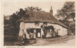 ENG116   --  A CORNISH COTTAGE --  1909 - Land's End