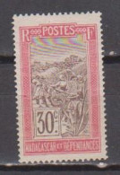 MADAGASCAR         N° YVERT  :  135   NEUF SANS GOMME        ( S G     2 / 55  ) - Neufs