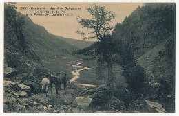 CPA - (Isère) - Massif De Belledonne - Le Sentier De La Pra Et La Prairie De L'Oursière - Andere & Zonder Classificatie