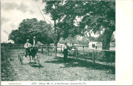 Florida Jacksonville Ostrich Farm Oliver W Jr In The Harness - Jacksonville