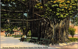 Florida Fort Myers Court House Square Unusual Banyan Tree  - Fort Myers