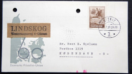 Denmark Card  1966    (LOT 900 ) - Briefe U. Dokumente