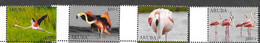 ARUBA, 2022, MNH, BIRDS, FLAMINGOS, 4v - Flamingo's