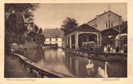 Bad Lippspringe - Lippequelle Gel.1928 - Bad Lippspringe