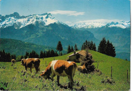 SUISSE - VILLARS-CHESIERES - Vue Sur Les Dts De Morcles Et Glaciers Du Trient - Morcles