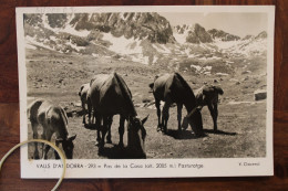 1950's Cpsm Pas De La Casa Cover Vallées D'Andorre Andorra - Lettres & Documents