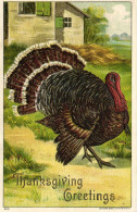 THANKSGIVING TURKEY Mostly EMBOSSED 18 Vintage Postcards Pre-1940 (L6584) - Thanksgiving