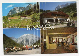 AK 132211 AUSTRIA - Stans - Alpengasthof Binsalm - Stams