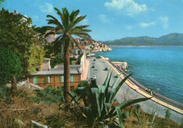 MARSEILLE - Promenade De La Corniche - Le Prophète - 1965 - - Endoume, Roucas, Corniche, Strände