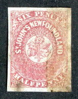 207 Newfoundland 1862 Scott 21 (SG20) Used (Lower Bids 20% Off) - 1857-1861