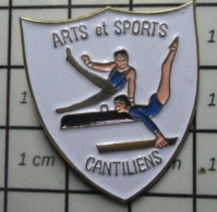 611B Pin's Pins / Beau Et Rare / SPORTS / GYMNASTIQUE ARTS ET SPORTS CANTILIENS - Gymnastics