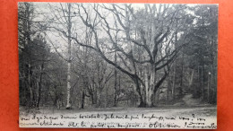 Cpa.(77) Forêt De Fontainebleau. Carrefour Du Nid De L'Aigle.  (AF.176) - Chasse