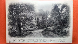Cpa.(77) Forêt De Fontainebleau. La Gorge Aux Loups. (AF.178) - Chasse