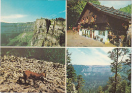 Le Creux-du-Van.(Gorgier - La Grande Béroche).Restaurant "La Ferme-Robert" - Gorgier