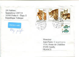 CHAT - TCHEQUIE- Affranchissement Sur Lettre - - Gatos Domésticos