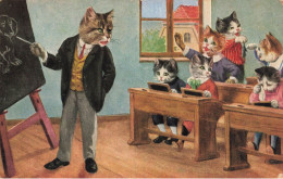 Chats Humanisés * CPA Illustrateur * Maitre école écoliers Enfants * Chat Cat Cats Katze Dessin Chien - Katzen