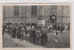 Région Elsenborn / Amel Amblève  PHOTO CARTE - Amel