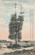 80 - LUCHEUX - Territoires De Lucheux Et Sus St Léger - Le Petit Dieu (arbre Remarquable) - Lucheux