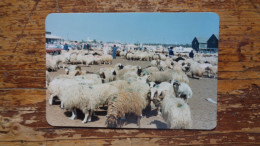 REF 631 : Photo Originale 12.5 X 8.5 Cm  Koweit Marchand De Mouton - Koeweit