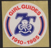 MNH**  Girl Guides 1910-1985  VIGNETTE SCOUTS POSTER STAMP  Pfadfinder CINDERELLA SCOUTING SCOUTISMO - Ungebraucht