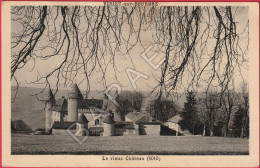 Virieu-sur-Bourbre (38) - Le Vieux Château (Circulé En 1940) - Virieu