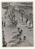 Foto Originale SAMMELWERK NR 14 - OLYMPIA 1936 BAND 170 CICLISTI CORRIDORI 100KM - Cyclisme