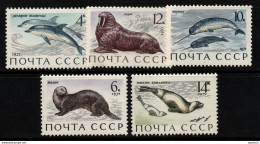 2757B-URSS-1971-SC#: 3882-3886-MNH-OTTER, DOLPHIN, NARWHALS, WALRUS, RIBBON SEALS - Dauphins