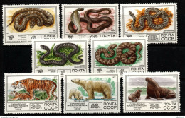 2757C-URSS-1977-SC#:4626-4633-MNH-SNAKES-POLAR BEAR / TIGER / WALRUS / CALF - Serpents