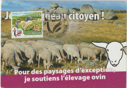 Carte-Maximum LUXEMBOURG TOURISME RURAL (Moutons) Obl Sp Ill 1er Jour 2019 - Maximum Cards