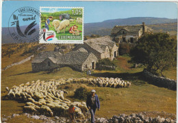 Carte-Maximum LUXEMBOURG TOURISME RURAL (Moutons) Obl Sp Ill 1er Jour 2019 - Maximum Cards