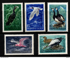 2758A-URSS-1972-SC#:3939-3943-MNH-BIRDS-GULL, GEESE, SPECTACTED EIDERS - Ganzen