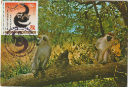 Carte-Maximum NOUVELLE-CALEDONIE ANNE DU SINGE Obl Sp 1er Jour 2016 - Maximumkarten