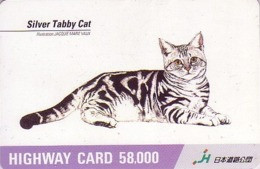 Carte JAPON - ANIMAL - CHAT / Série Jacquie MARIE VAUX - 6/14 - Silver Tabby CAT JAPAN Highway Card - HW 3407 - Gatos