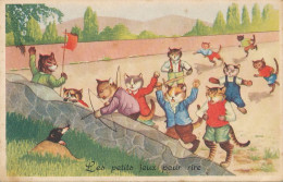 Chats Humains Tir à L'arc Sur Teckel Humanized Cats Archery Dachshund Envoi Gendarmerie Ecquevilly - Tir à L'Arc