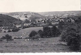 Erezée - Panorama Des Hameaux - Circulé - TBE - Erezée