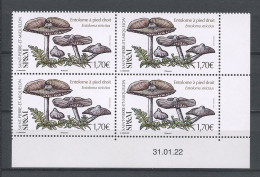 SPM Miquelon 2022 N° 1287 ** Bloc De 4 Coin Daté Neufs MNH Superbe Flore Champignons Mushrooms Entoloma Strictius - Neufs