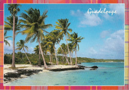 GUADELOUPE - SAINTE ANNE - Plage De Bois Jolan - Autres & Non Classés