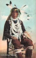 Indiens Amérique Du Nord * CPA * Chief POWOSHO Powosho * Indien Indian Indians - Indios De América Del Norte