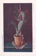 Art - Cactus By Johannes？ (ヨハネス・ウユステ), German Contemporary Art Exhibition, 1926, Japan's Vintage Postcard - Cactusses