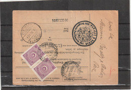 Turkey Constanta PARCEL CARD 1924 - Brieven En Documenten