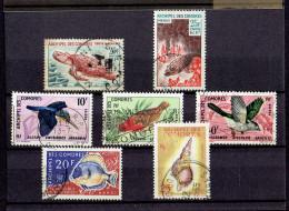 COMORES - LOT TP N°24 - 37/38 - 42/44 - 47 - OB TB - Oblitérés