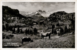 Lungern - Alpweide Am Brünig (248) - Lungern