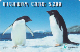 Carte JAPON - ANIMAL - OISEAU - MANCHOT ADELIE / Couple En Parade - PENGUIN BIRD JAPAN Highway Card - HW 5744 - Pingouins & Manchots