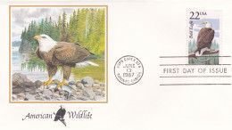 États-Unis FDC 1987 1741 Oiseaux Rapaces Pygargue à Tête Blanche - 1981-1990