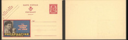 BELGICA ENTERO POSTAL PUBLIBEL 622 PHOSPHATINE FARMACIA ALIMENTACION PHARMACY - Pharmacy