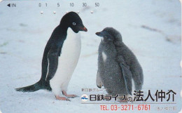 Rare Télécarte JAPON / 110-011 - ANIMAL - OISEAU - MANCHOT ADELIE - PENGUIN BIRD JAPAN Phonecard - PINGUIN - BE 5769 - Pingueinos