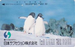 Rare Télécarte JAPON / 110-63745 - ANIMAL - OISEAU - MANCHOT ADELIE - PENGUIN BIRD JAPAN Free Phonecard - PINGUIN - 5770 - Pinguins