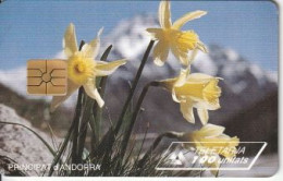 Telecarte ANDORRE - 100 U - Andorra