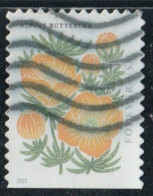 Etats-Unis 2022 Yv. N°5512 - Bouton D'or Des Alpes - Oblitéré - Used Stamps